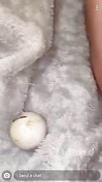 Amateur Video 330006